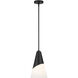 Tori 1 Light 9 inch Matte Black Pendant Ceiling Light