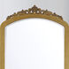 Arden 72 X 36 inch Burnished Brass Mirror