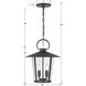 Andover 4 Light 14 inch Matte Black Pendant Ceiling Light in Clear