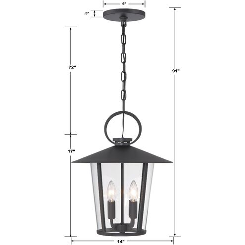 Andover 4 Light 14 inch Matte Black Pendant Ceiling Light in Clear