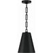 Alston 2 Light 10 inch Matte Black/Antique Gold Mini Pendant Ceiling Light in Matte Black and Antique Gold