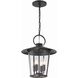 Andover 4 Light 14 inch Matte Black Outdoor Pendant in Clear