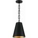 Alston 2 Light 10 inch Matte Black/Antique Gold Mini Pendant Ceiling Light in Matte Black and Antique Gold