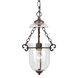 Signature 1 Light 10 inch Bronze Umber Pendant Ceiling Light