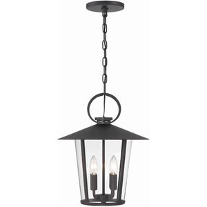 Andover 4 Light 14 inch Matte Black Pendant Ceiling Light in Clear