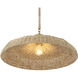 Odessa 1 Light 20.5 inch Soft Gold Pendant Ceiling Light