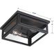 Byron 2 Light 12.75 inch Matte Black Flush Ceiling Light