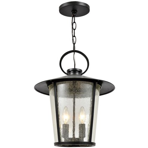 Andover 4 Light 14 inch Matte Black Outdoor Chandelier