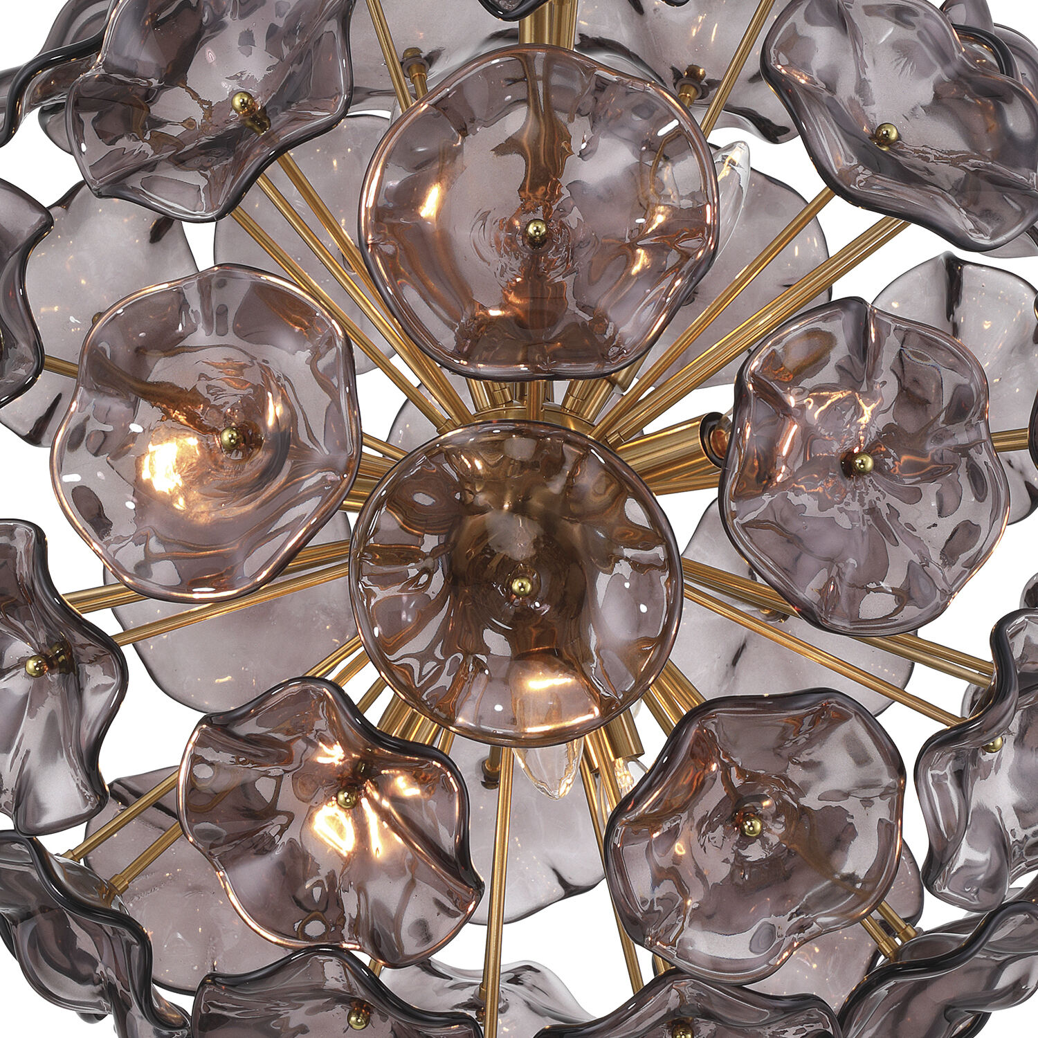 Esme 9 Light 22.5 inch Aged Brass Chandelier Ceiling Light in Floral Glass Petals Smoked