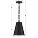Alston 2 Light 10 inch Matte Black/Antique Gold Mini Pendant Ceiling Light in Matte Black and Antique Gold