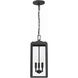 Byron 3 Light 7.5 inch Matte Black Outdoor Pendant