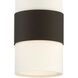 Grayson 1 Light 6 inch Dark Bronze Mini Pendant Ceiling Light