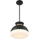 Gidget 2 Light 15 inch Matte Black and Vibrant Gold Mini Pendant Ceiling Light