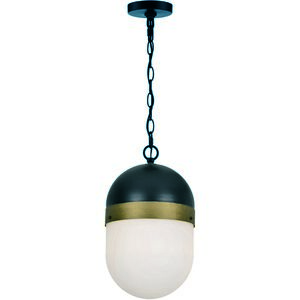Capsule 1 Light 8 inch Matte Black with Textured Gold Outdoor Pendant