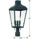 Dumont 3 Light 23 inch Graphite Post