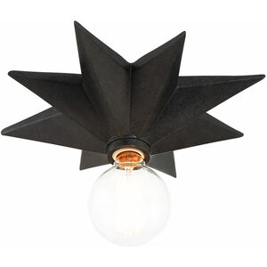 Astro 1 Light 12 inch Black Sconce Wall Light