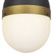 Capsule 1 Light 8 inch Matte Black and Textured Gold Outdoor Pendant