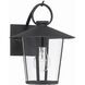 Andover 1 Light 11 inch Matte Black Outdoor Sconce in Clear