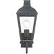 Dumont 1 Light 17.5 inch Graphite Outdoor Sconce