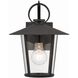 Andover 1 Light 11 inch Matte Black Outdoor Sconce in Clear