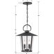 Andover 4 Light 14 inch Matte Black Outdoor Pendant in Clear