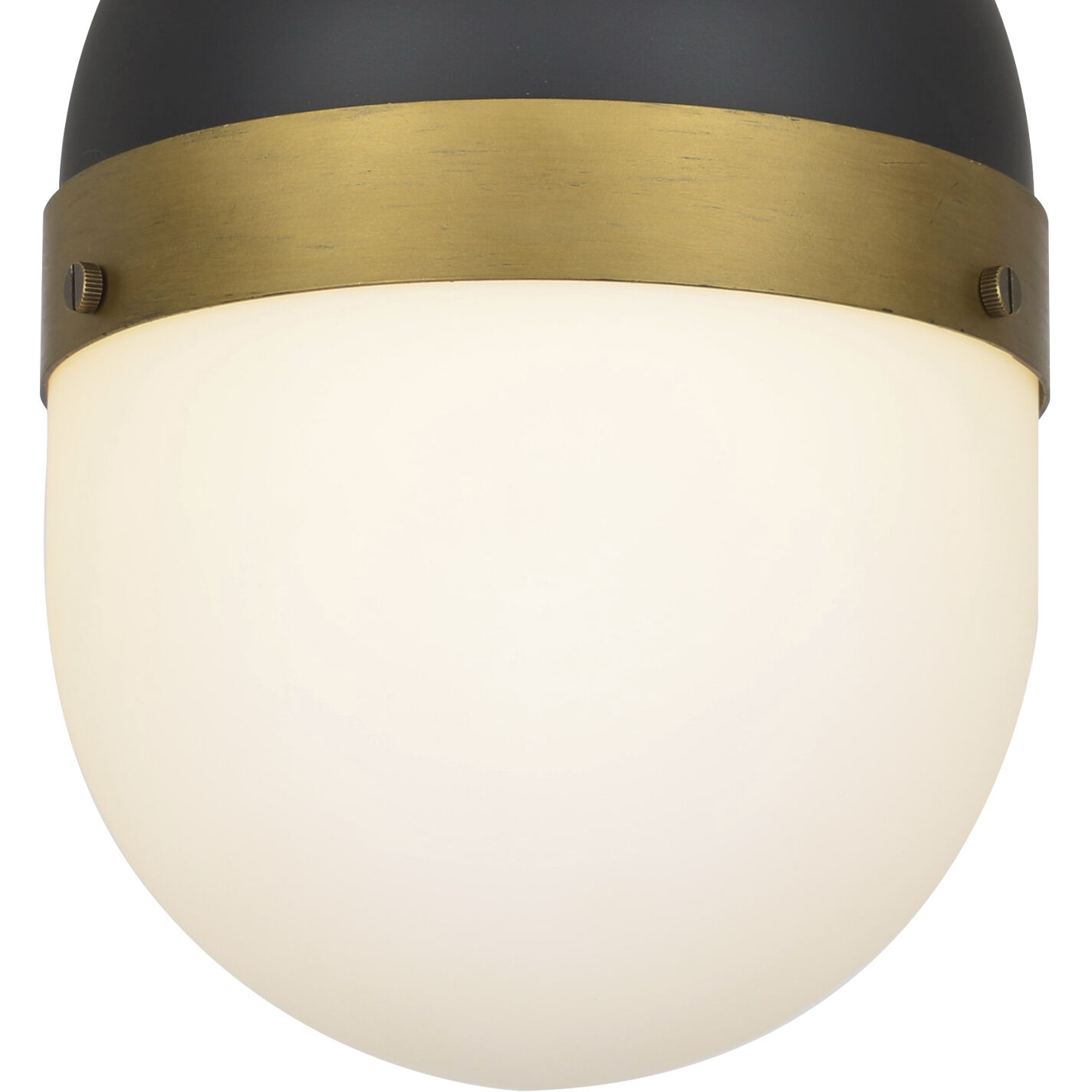 Capsule 1 Light 8 inch Matte Black/Textured Gold Outdoor Pendant