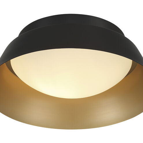 Donoven 2 Light 15 inch Matte Black and Gold Flush Mount Ceiling Light