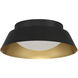 Donoven 2 Light 15 inch Matte Black and Gold Flush Mount Ceiling Light