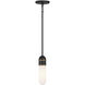 Capsule 1 Light 3.25 inch Matte Black and Textured Gold Mini Pendant Ceiling Light