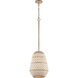 Zanzibar 1 Light 10 inch Soft Gold Mini Pendant Ceiling Light