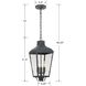 Dumont 3 Light 9.25 inch Graphite Pendant Ceiling Light