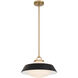 Xander 1 Light 16 inch Vibrant Gold Pendant Ceiling Light