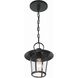 Andover 1 Light 9 inch Matte Black Outdoor Pendant in Clear