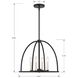 Abbott 4 Light 18.25 inch Black Chandelier Ceiling Light