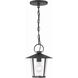 Andover 1 Light 9 inch Matte Black Outdoor Pendant in Clear