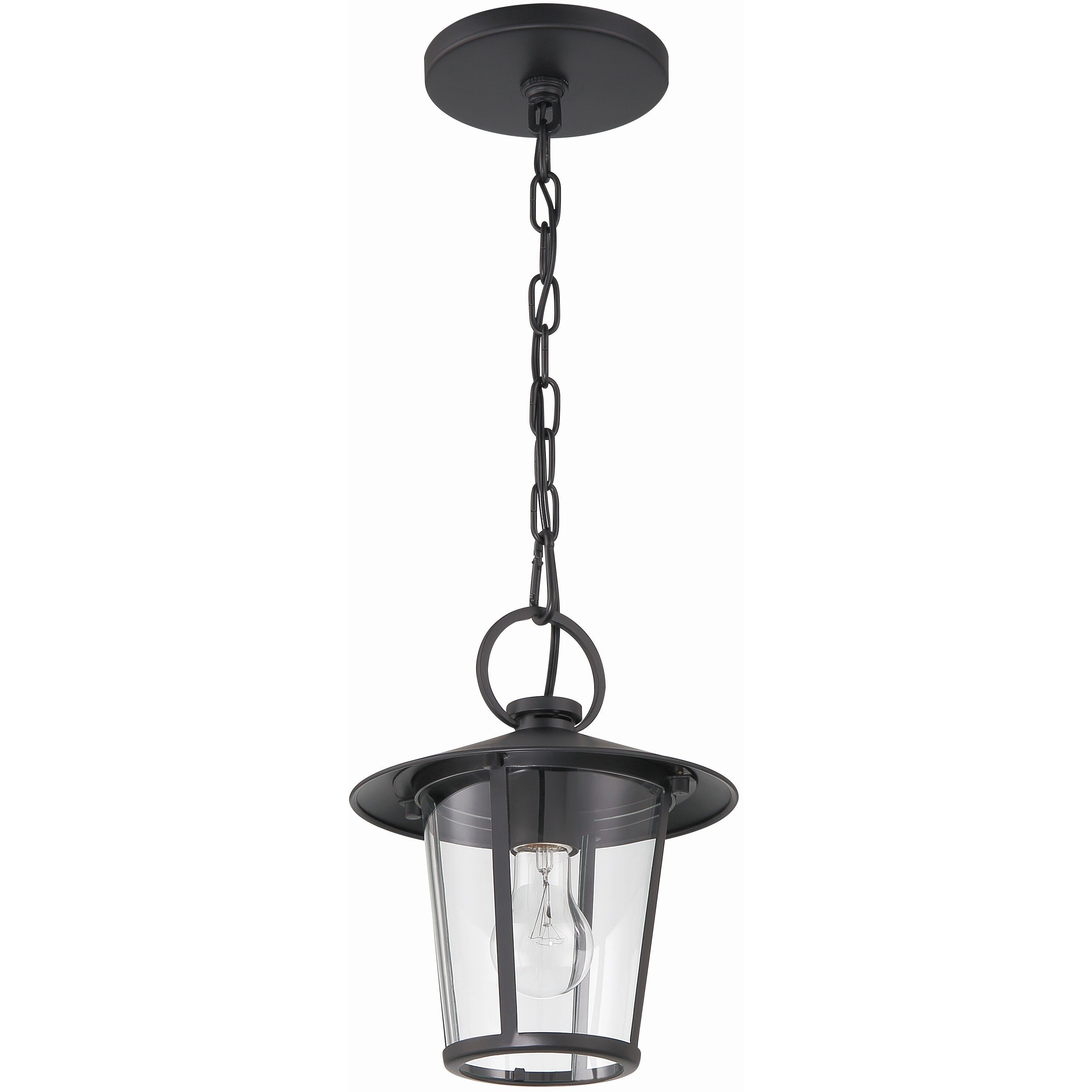 Andover 1 Light 9 inch Matte Black Outdoor Pendant in Clear