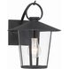 Andover 1 Light 11 inch Matte Black Outdoor Sconce in Clear