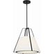 Fulton 3 Light 20 inch Black Chandelier Ceiling Light