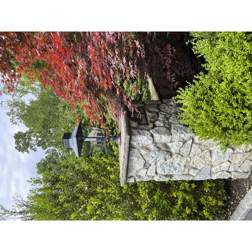 Dumont 3 Light 25 inch Graphite Post