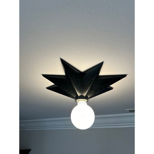 Astro 1 Light 12 inch Black Sconce Wall Light