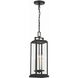 Aspen 4 Light 6.5 inch Matte Black Outdoor Pendant