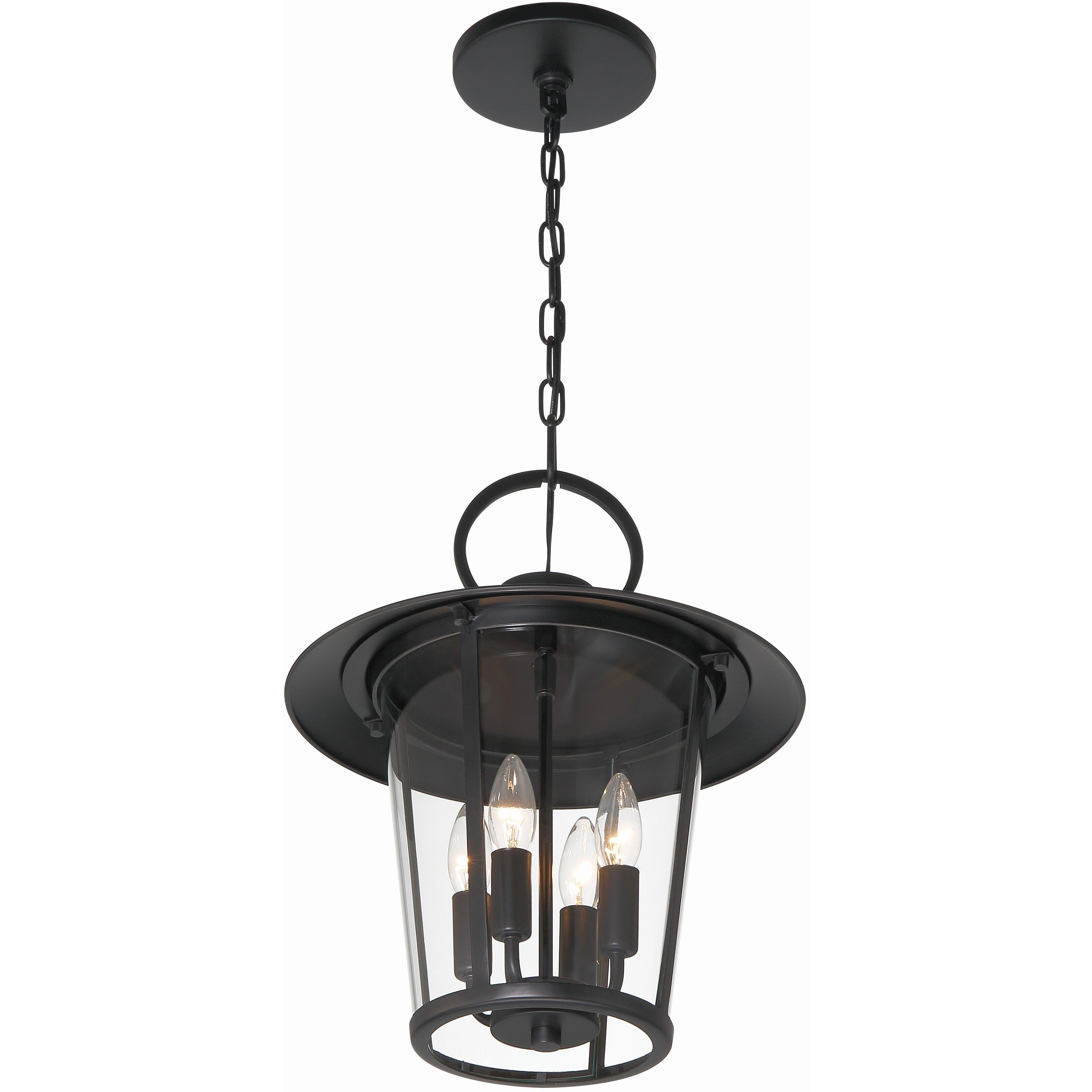 Andover 4 Light 14 inch Matte Black Outdoor Pendant in Clear