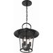 Andover 4 Light 14 inch Matte Black Outdoor Pendant in Clear