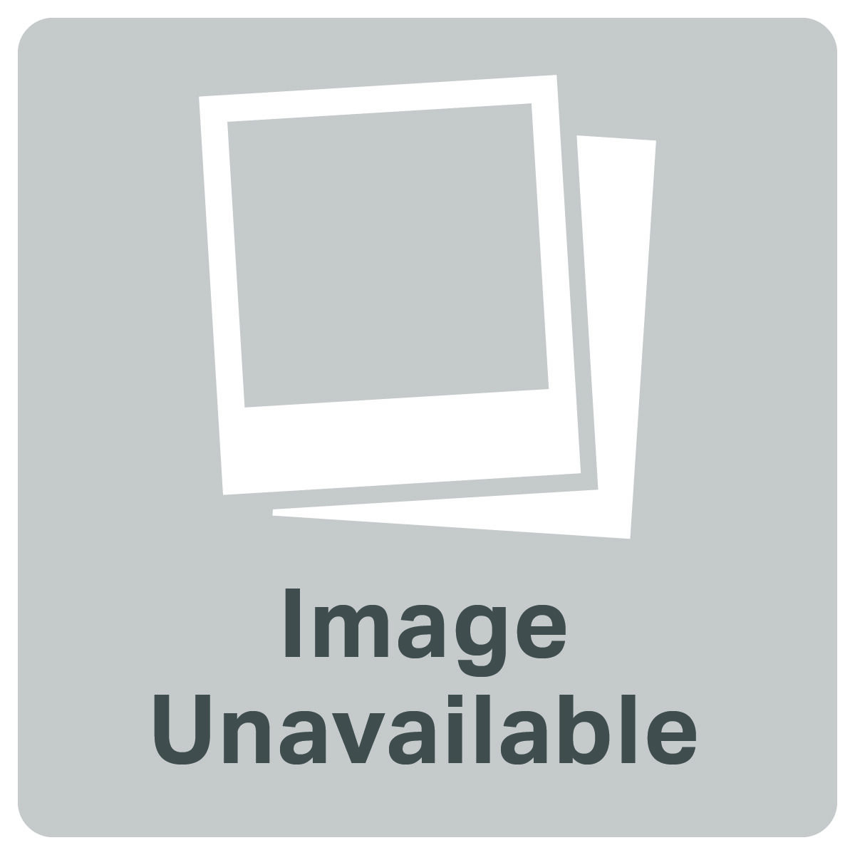 Abbie Wall Sconce Wall Light