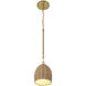 Jace 1 Light 6 inch Soft Gold Mini Pendant Ceiling Light