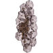 Esme Sconce Wall Light