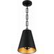 Alston 2 Light 10 inch Matte Black/Antique Gold Mini Pendant Ceiling Light in Matte Black and Antique Gold