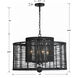 Jayna 4 Light 25 inch Matte Black Chandelier Ceiling Light