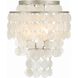 Brielle Ceiling Mount Ceiling Light