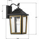 Hawkins 1 Light 14 inch Matte Black and Textured Gold Outdoor Sconce
